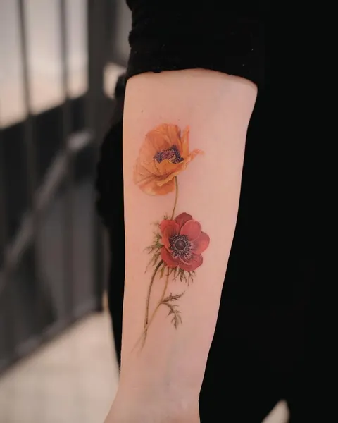Flower, Rose, 양귀비