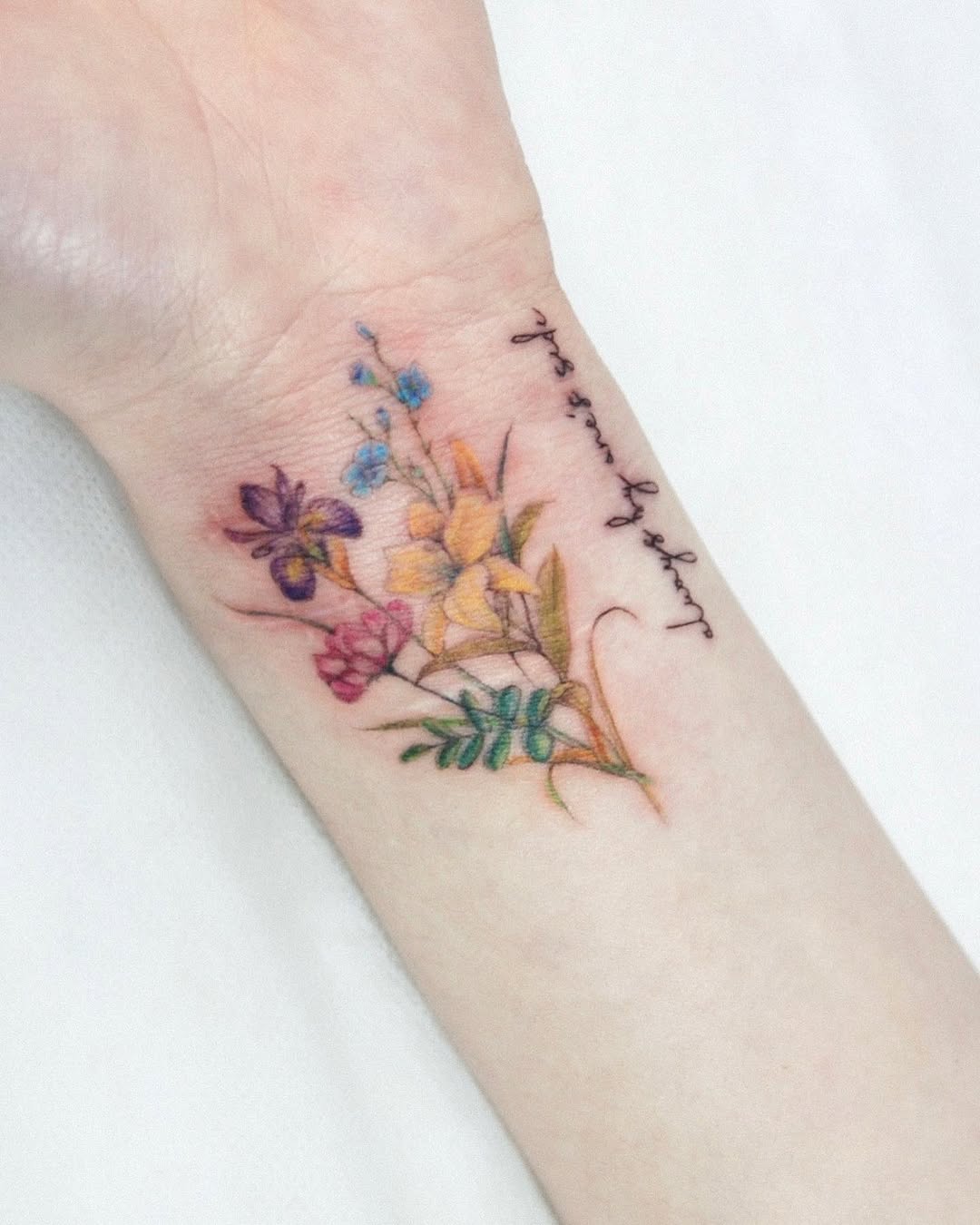 Flower, 카네이션, 수선화