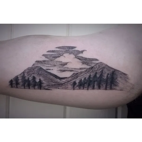 눈, Nature, 산
