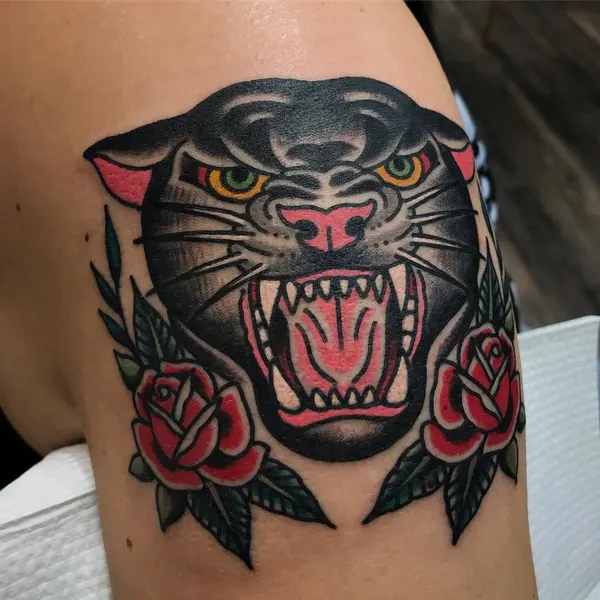 Tiger, Animal