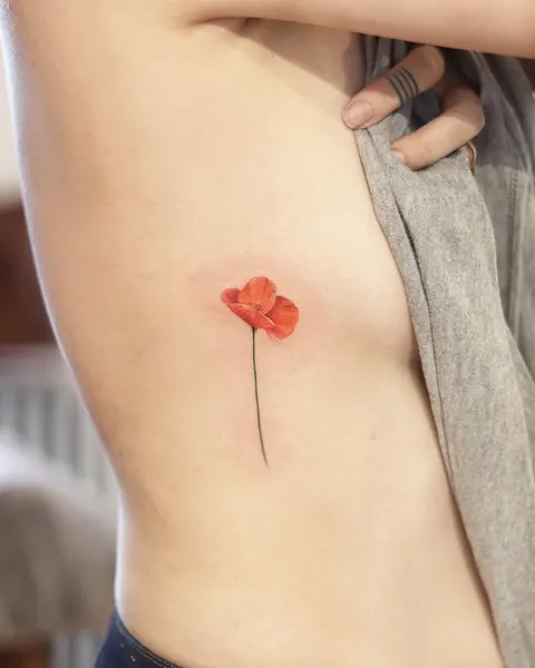 양귀비