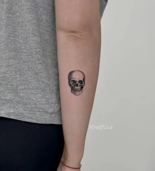 뼈, Skull