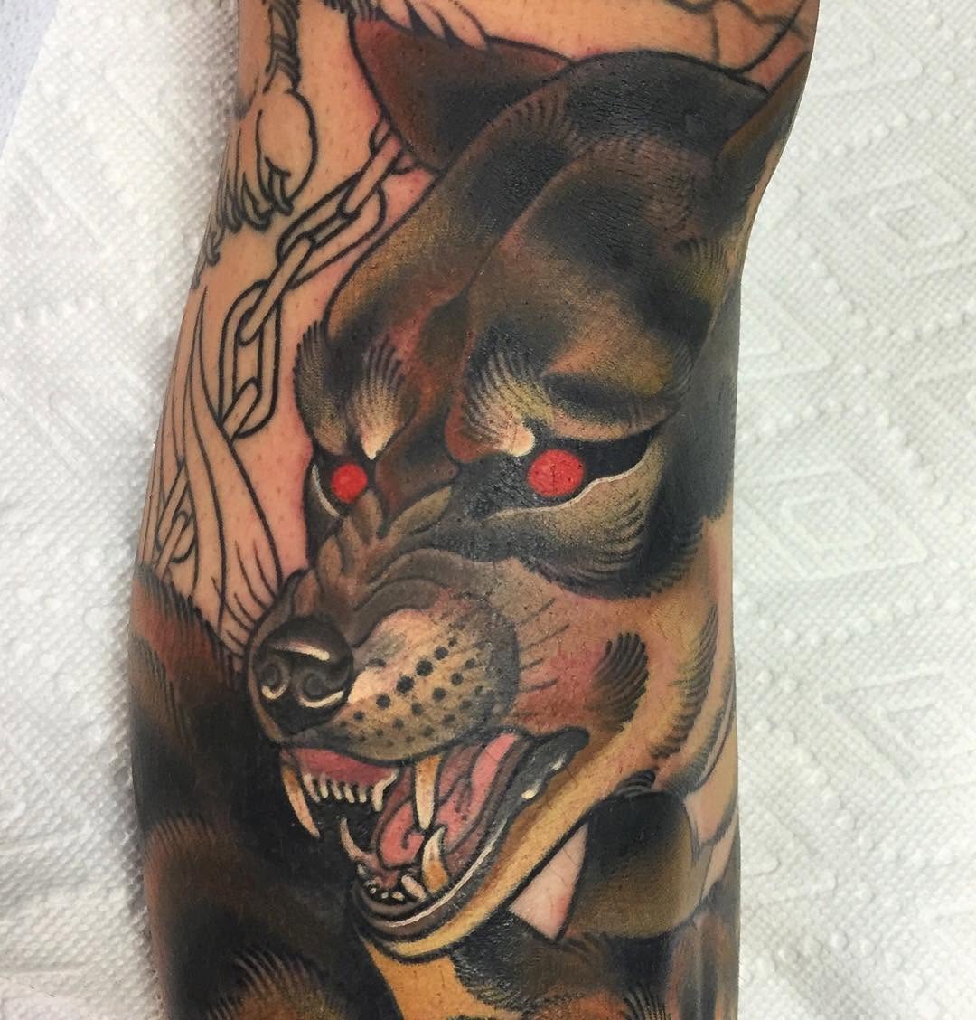 Tiger, Animal