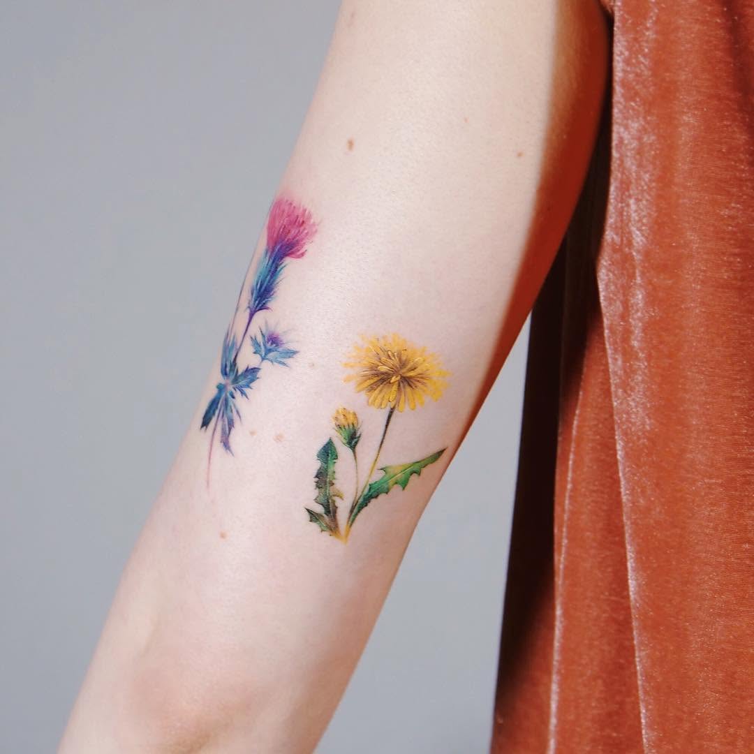 Flower, 해바라기