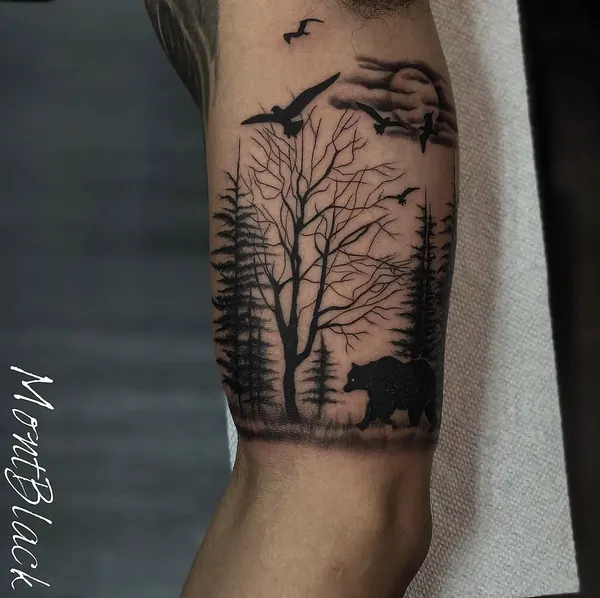 Nature, 숲, 나무, 소나무