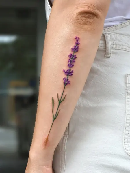 허브, Flower, 라벤더