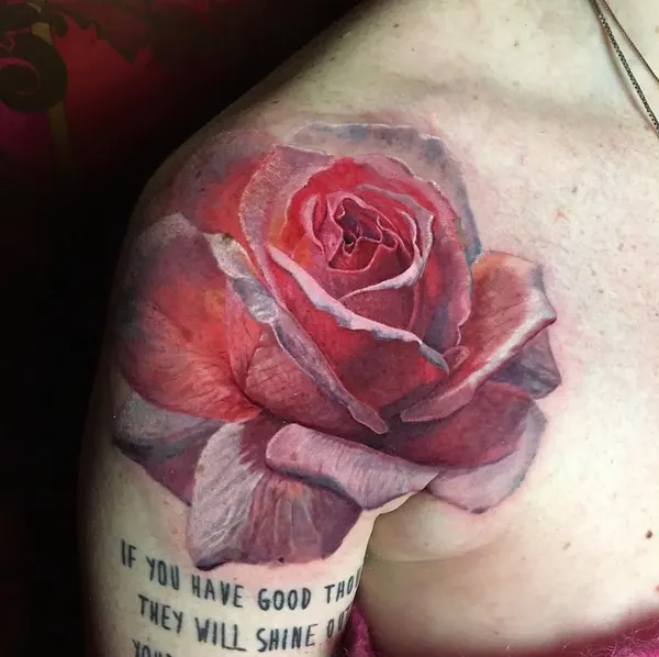 Flower, Rose