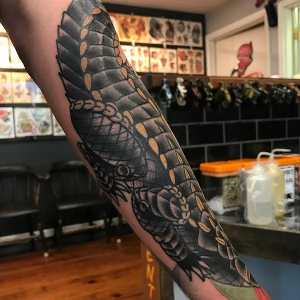 Dragon, 도마뱀
