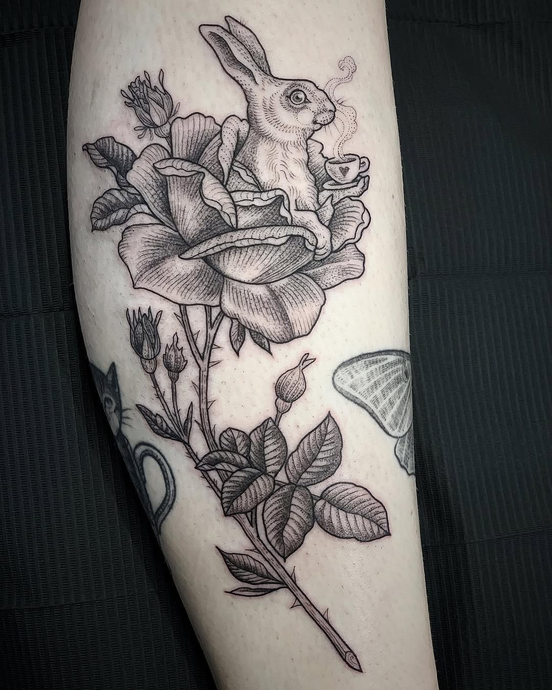 Flower, Rose