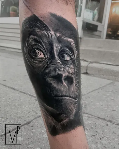 Tiger, Animal