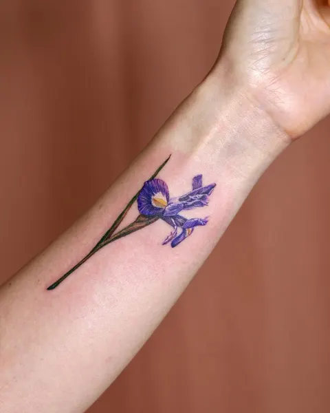 Flower, 난초, 아이리스, 백합, 튤립