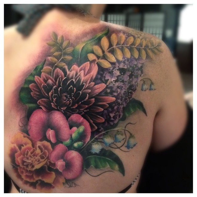 Flower, Nature, Rose