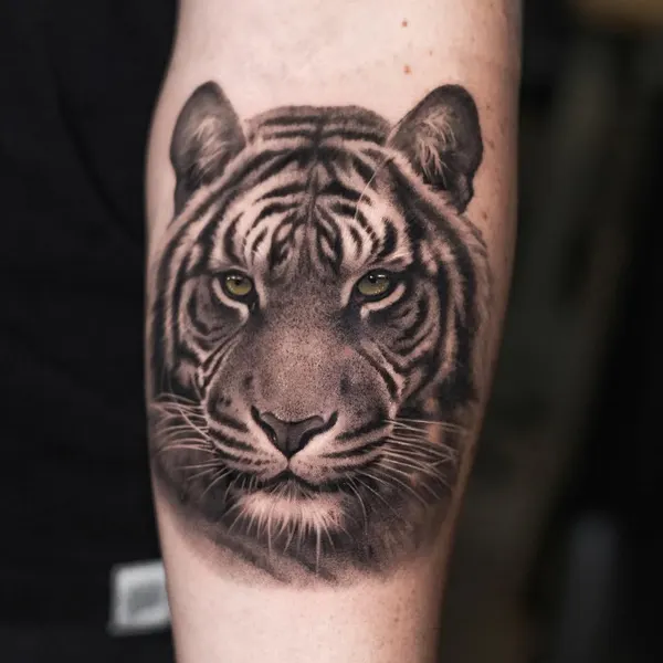 Tiger, 중국 호랑이
