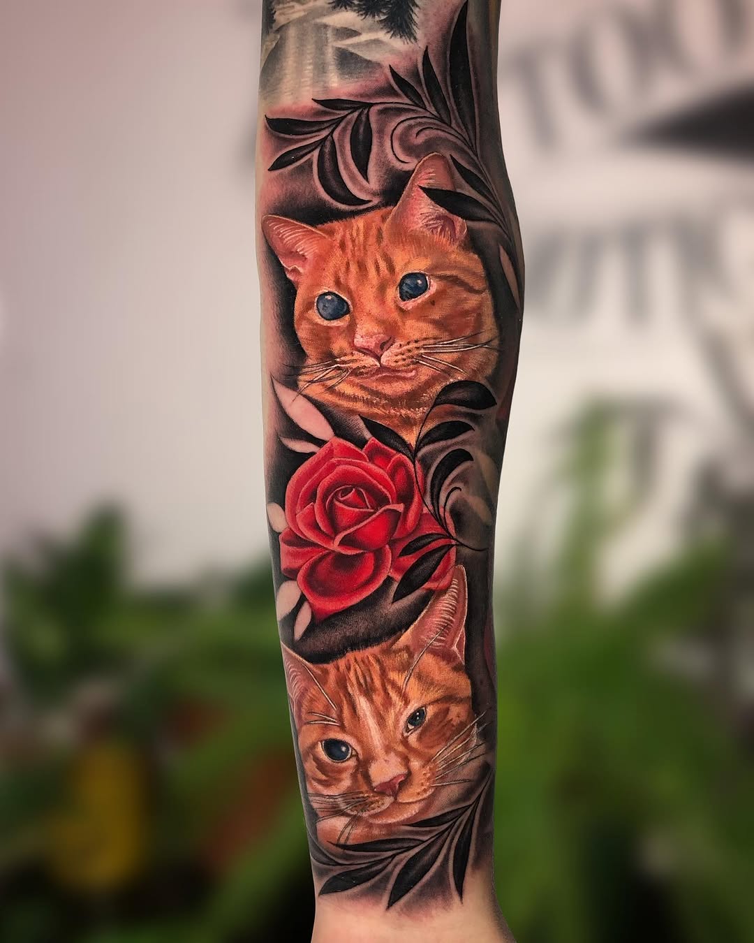 megan_massacre