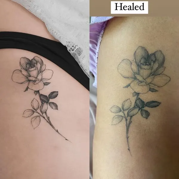 Flower, Rose, 변화