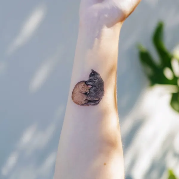 쥐, 펭귄, 다람쥐, 코알라, 고슴도치, 나무늘보, 조개껍데기, 버섯, Animal