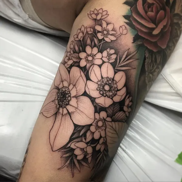 Flower, Rose