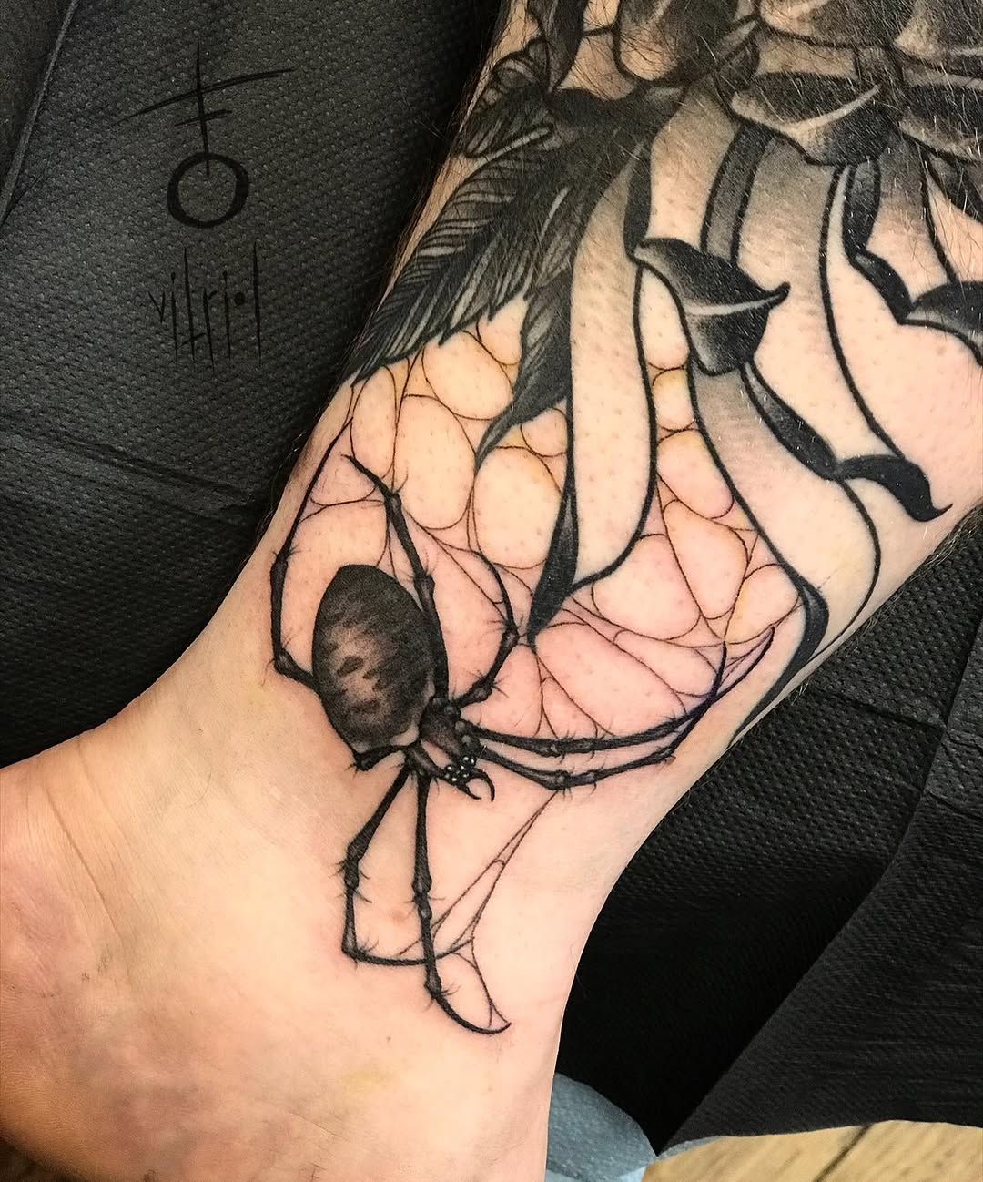 Animal, 거미