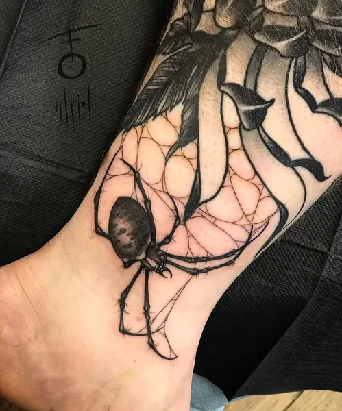 Animal, 거미