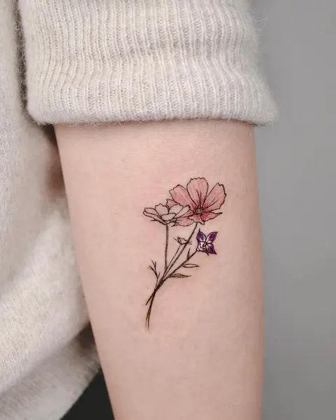 Flower, Rose