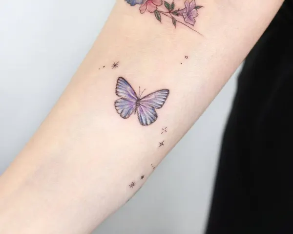Nature, Animal, 나비, 라벤더