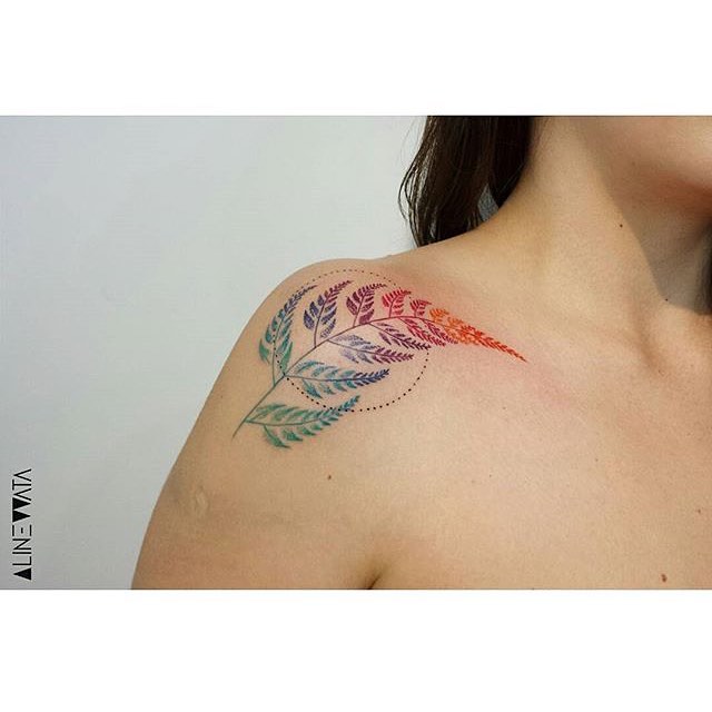 equilattera