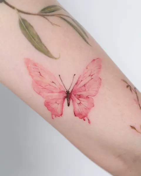 Animal, Nature, 요정, 잠자리, 무당벌레