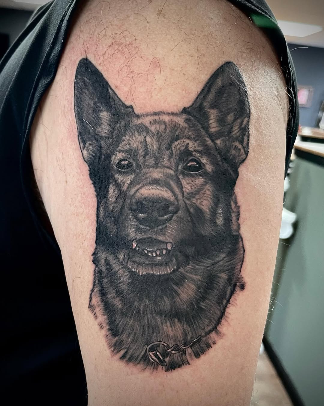 jakedenoyertattoo