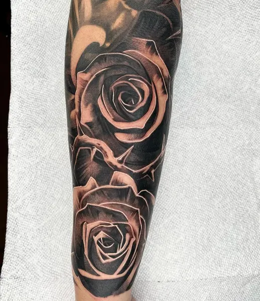 Flower, Rose