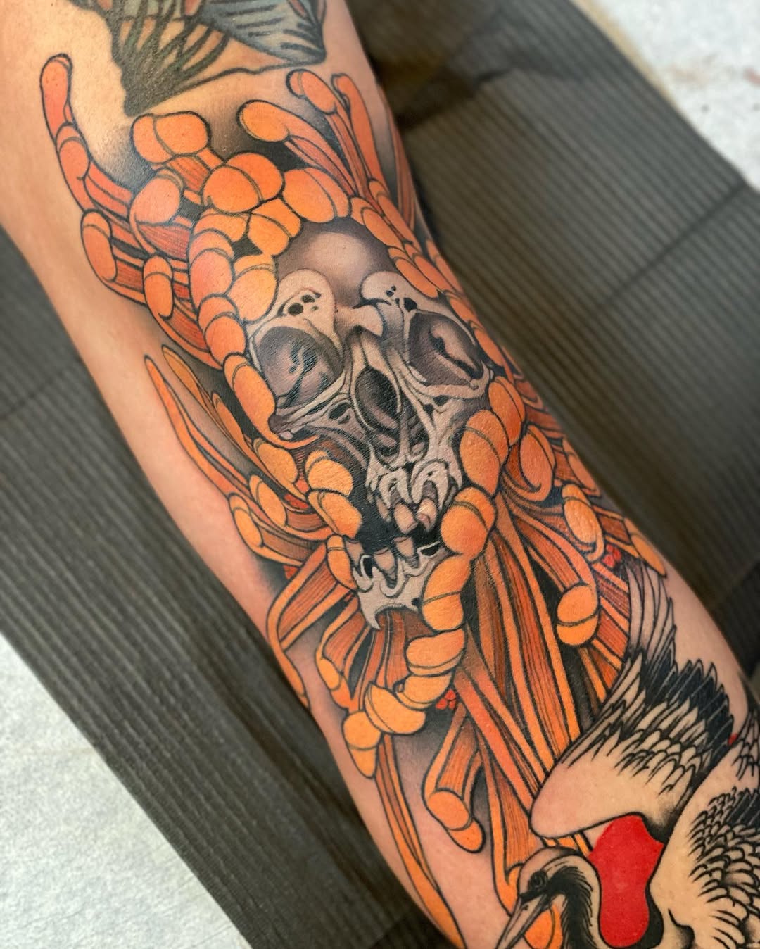 sacred_crow