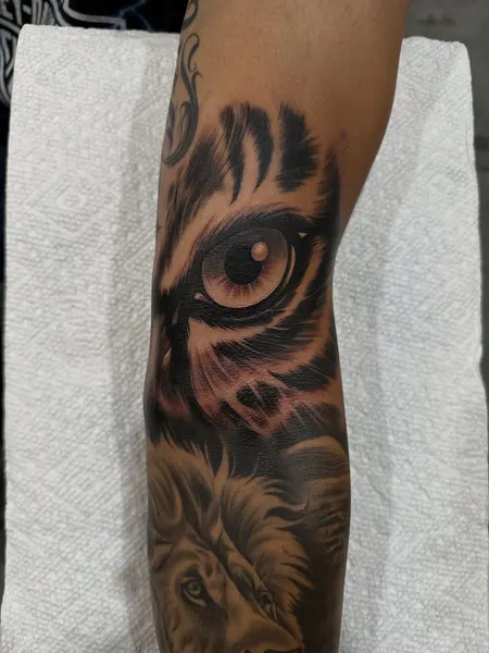 Tiger