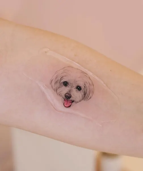 paw.tattoo