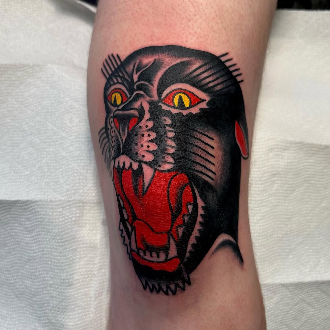 Tiger, Animal