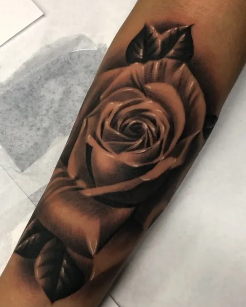 Flower, Rose