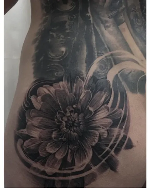 Flower, Rose