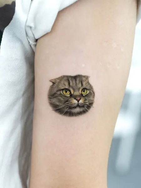 Animal, 텐구, 함사, 고양이, 마네키네코, 반려동물, 여우 가면