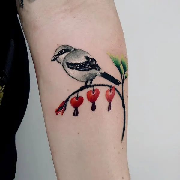 Animal, 펭귄