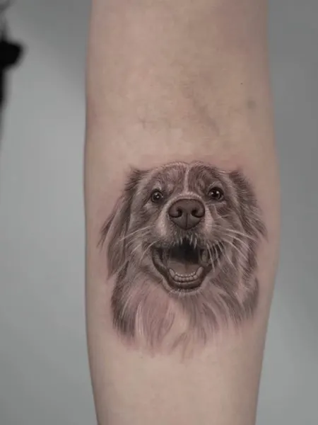 Animal, 강아지