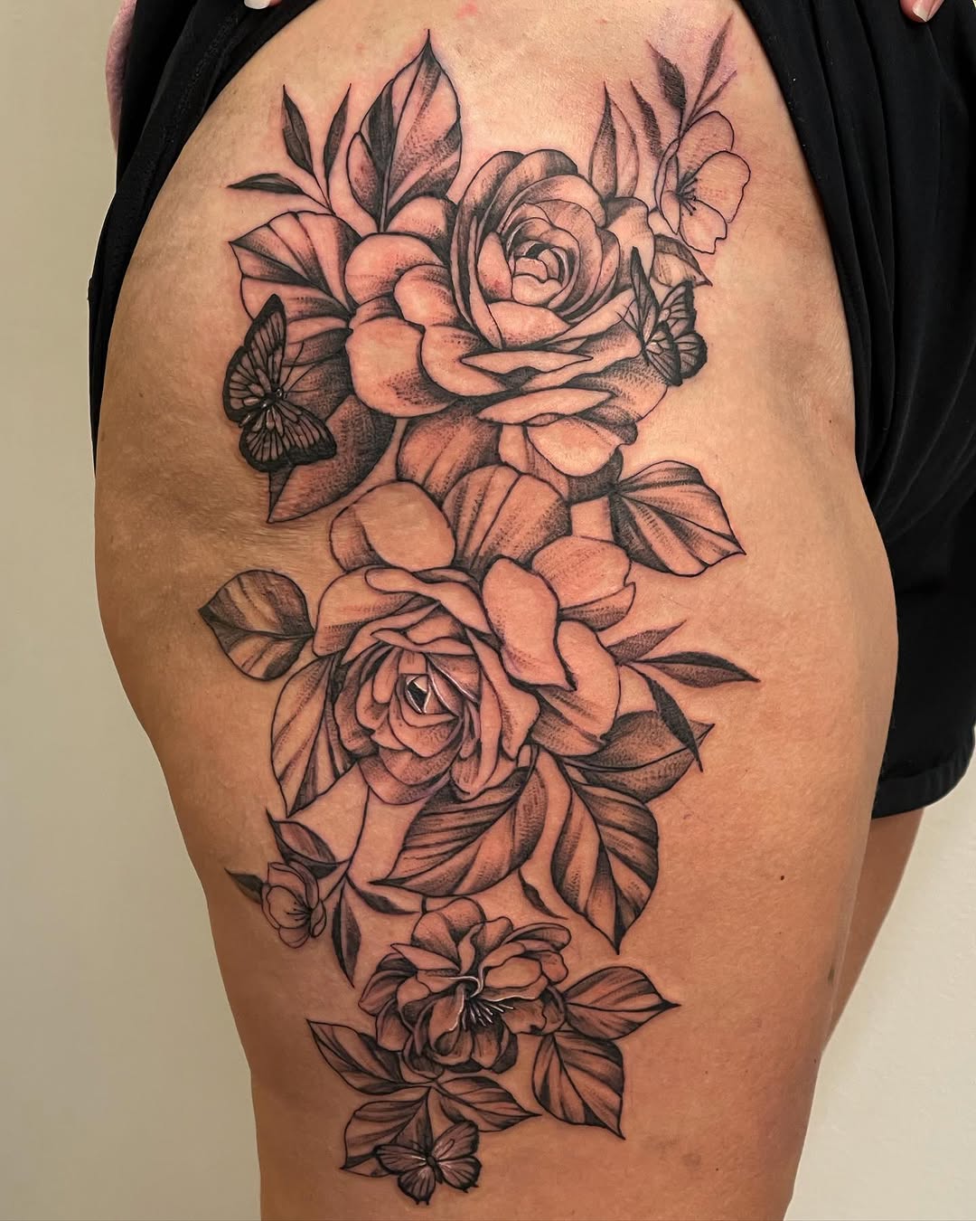 Flower, Rose, Nature