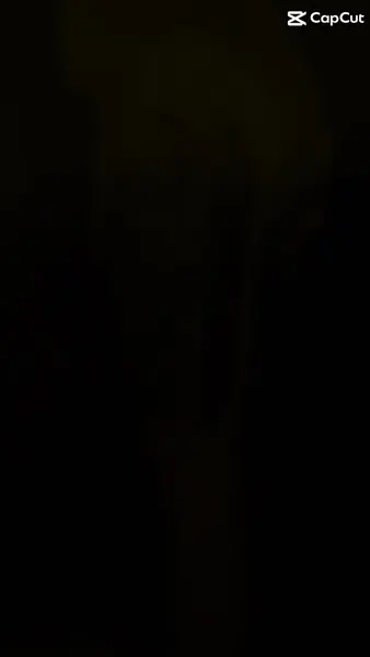 sean_foy