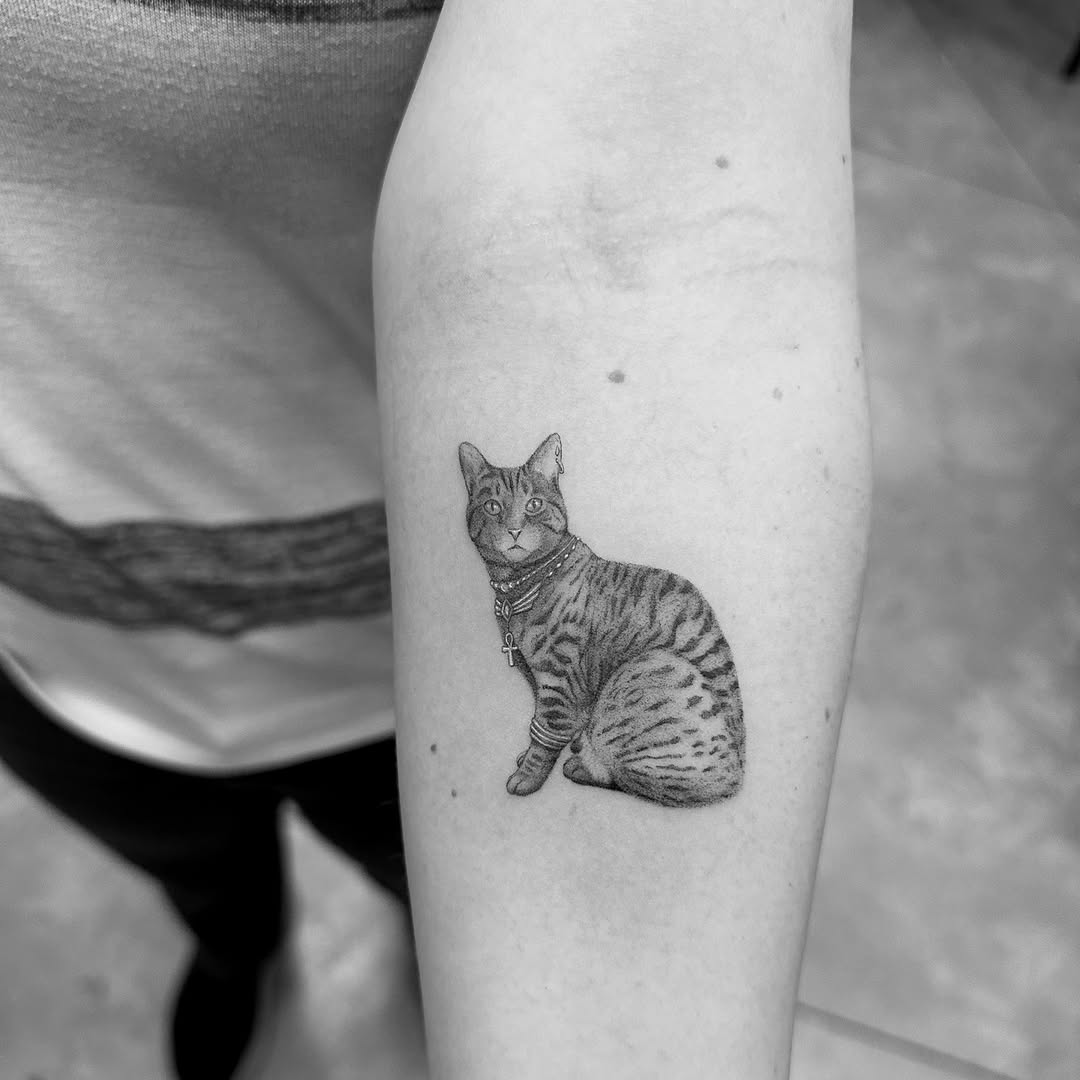 mnsantanatattoo