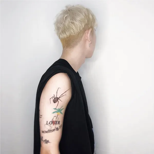 Animal, 거미