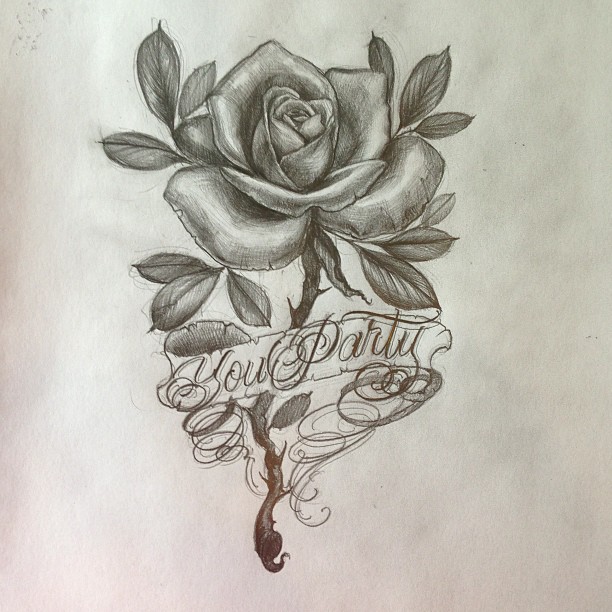 Flower, Rose