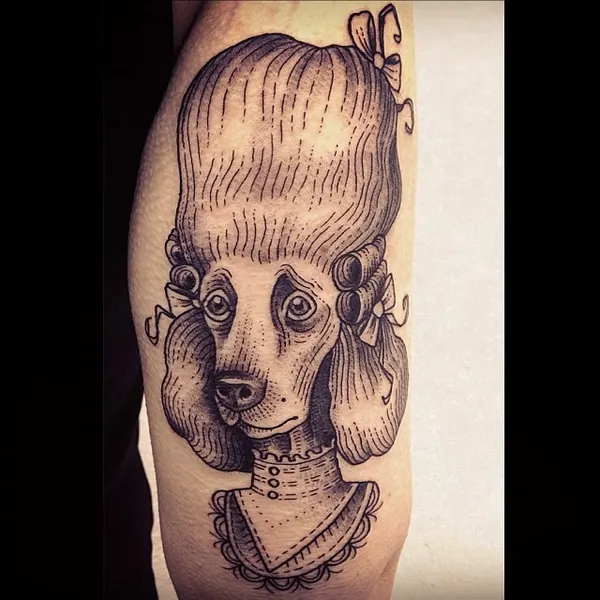 Animal