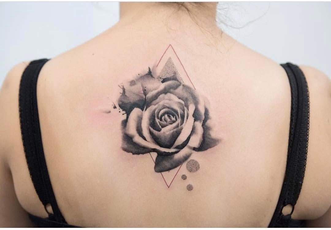 Flower, Rose, Nature