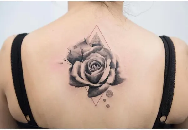 Flower, Rose, Nature
