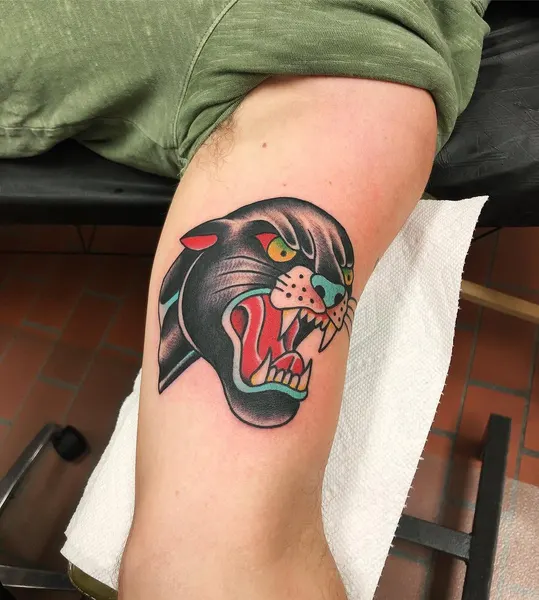 Animal, Tiger