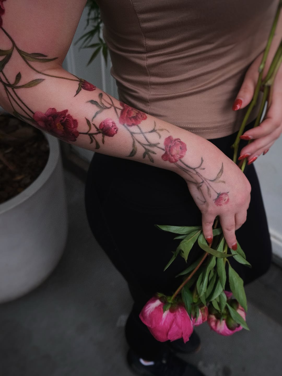 Flower, Rose