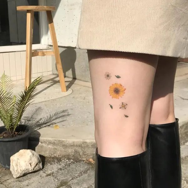 Flower, 해바라기, 데이지