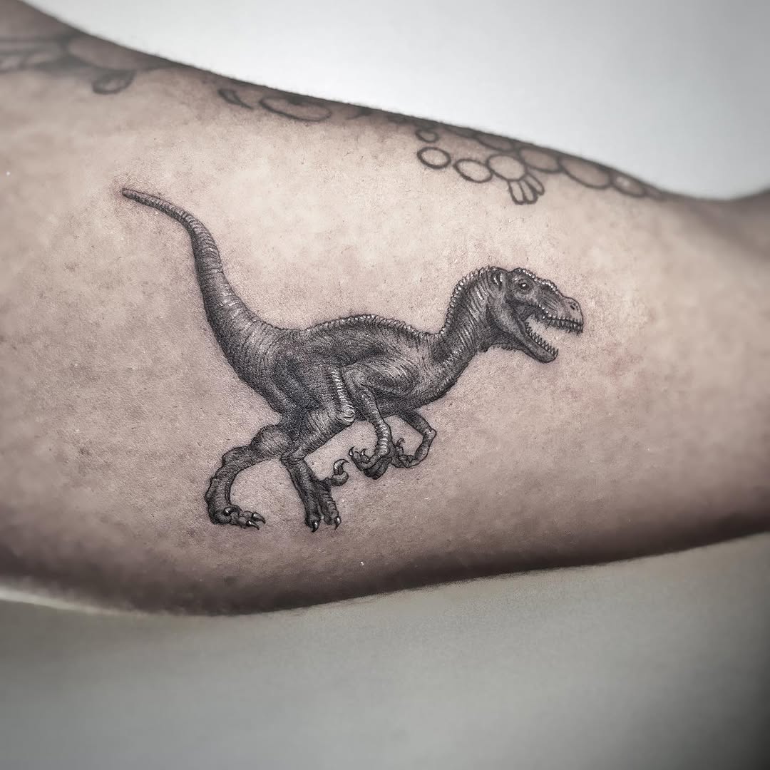 Dragon, 악어, 도마뱀